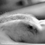 relation sexe idéale sur Toulouse